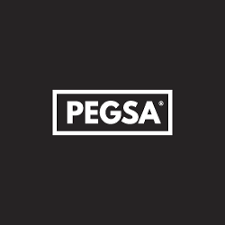 Pegsa Group Icono